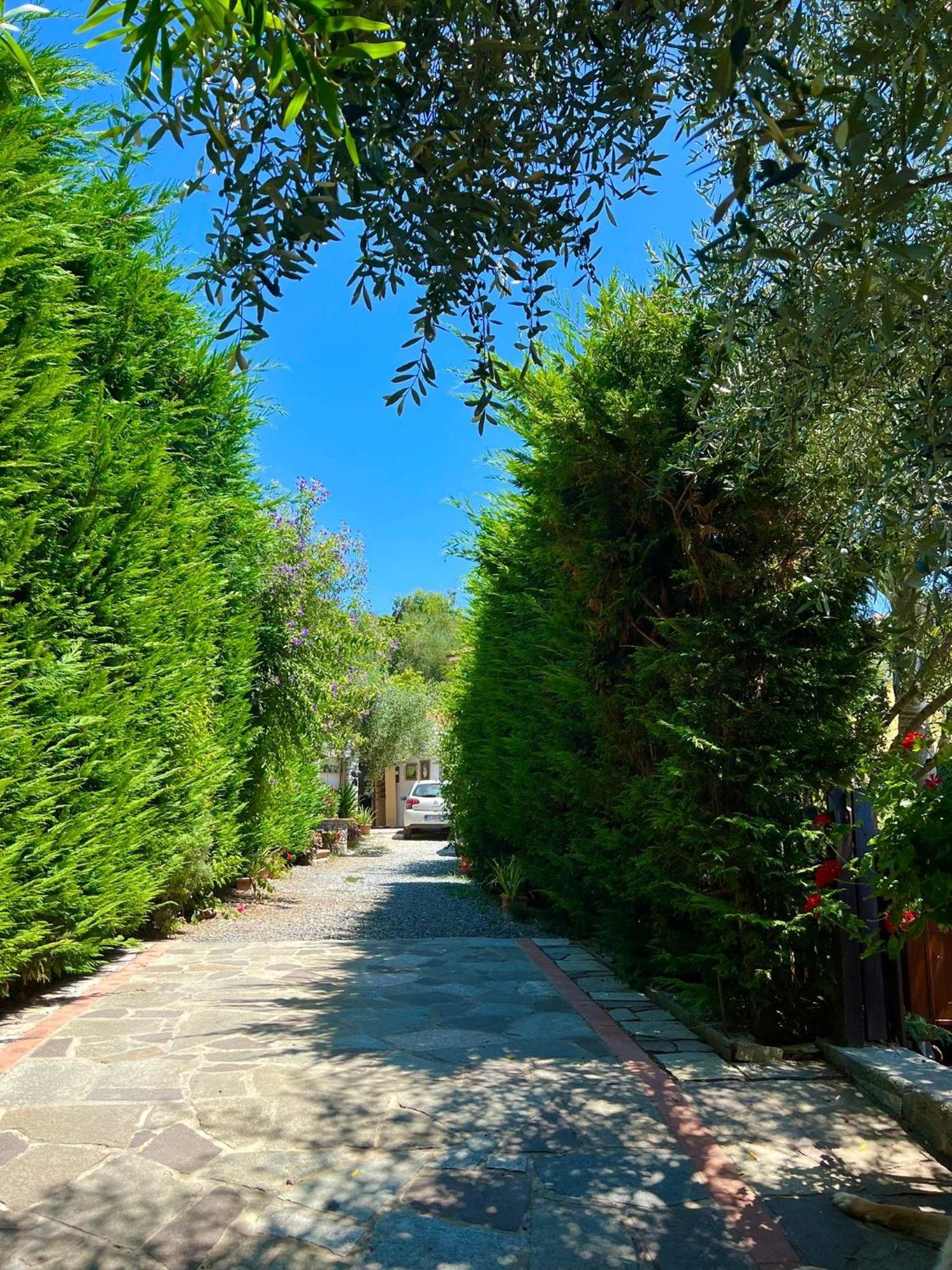 Le Jardin Sur Mer Avec Bike Et Mtb Tour Hotell Imperia Exteriör bild