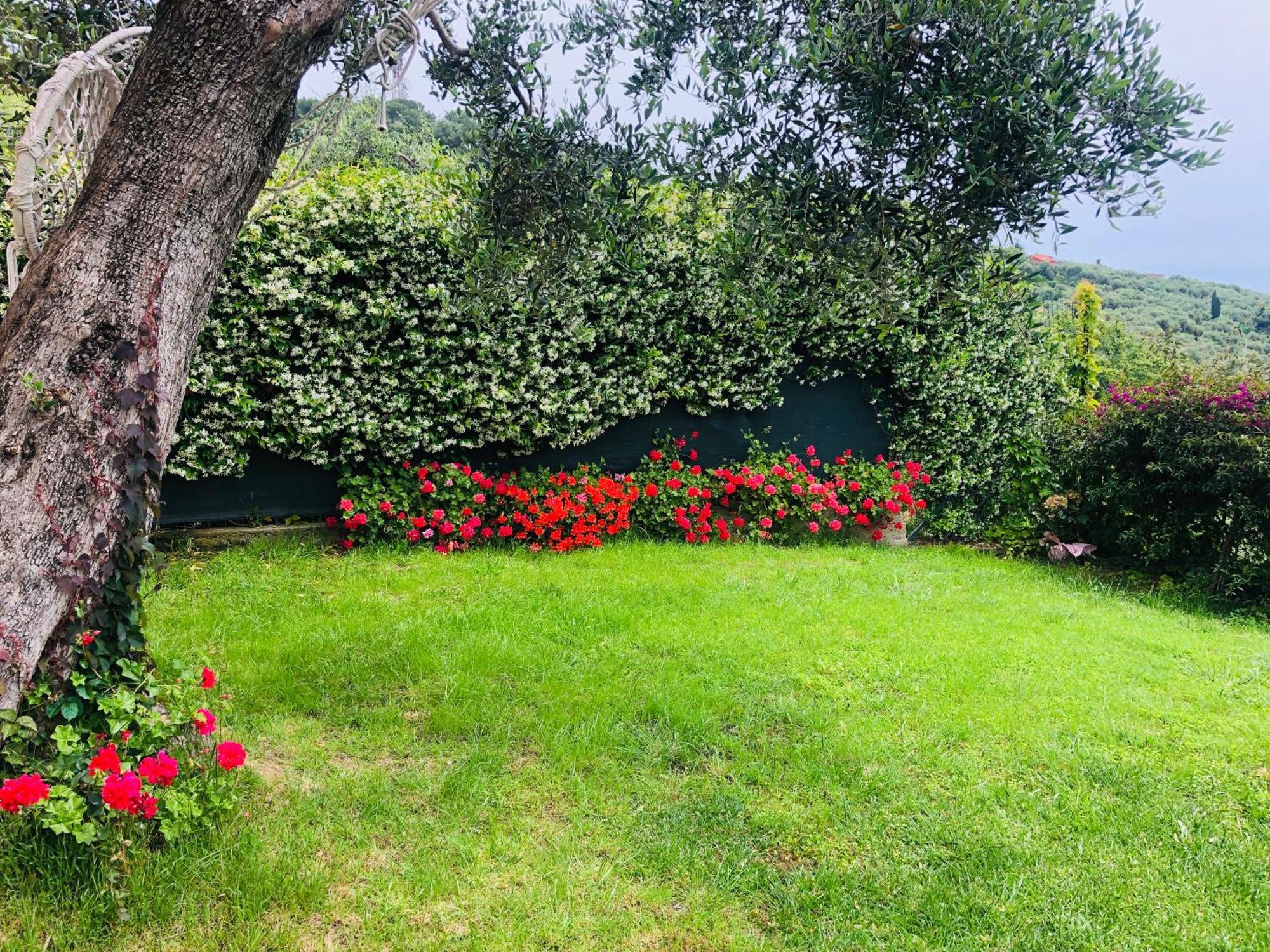 Le Jardin Sur Mer Avec Bike Et Mtb Tour Hotell Imperia Exteriör bild